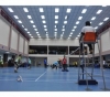 Badminton ( LA ) Ke Final